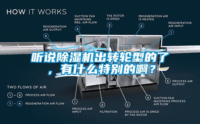 聽說除濕機出轉(zhuǎn)輪型的了，有什么特別的啊？