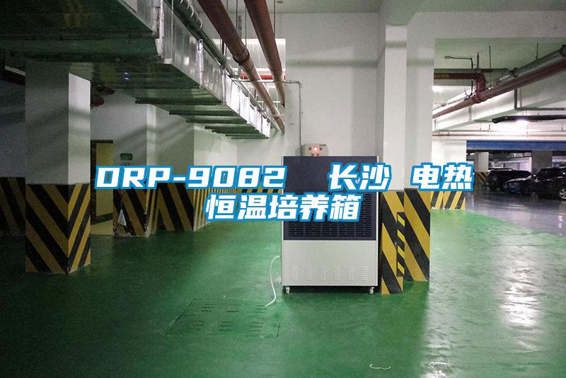 DRP-9082  長(zhǎng)沙 電熱恒溫培養(yǎng)箱