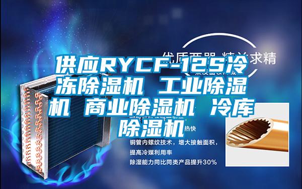 供應(yīng)RYCF-12S冷凍除濕機(jī) 工業(yè)除濕機(jī) 商業(yè)除濕機(jī) 冷庫除濕機(jī)