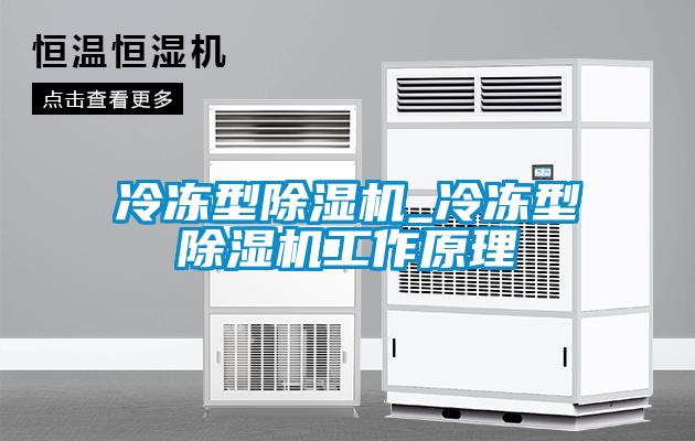 冷凍型除濕機_冷凍型除濕機工作原理