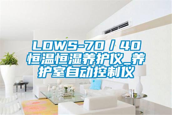 LDWS-70／40恒溫恒濕養(yǎng)護儀_養(yǎng)護室自動控制儀