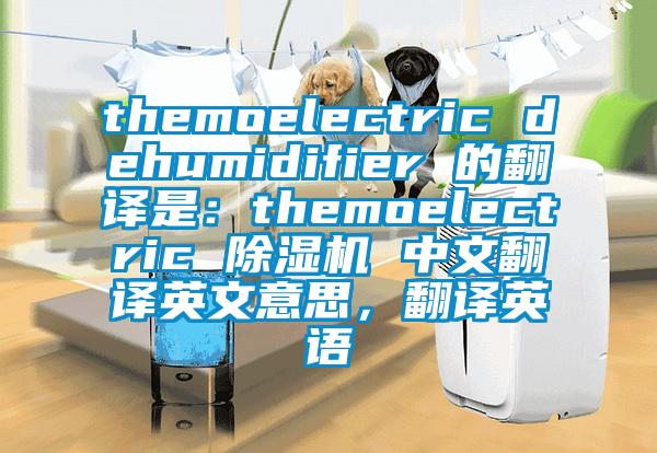 themoelectric dehumidifier 的翻譯是：themoelectric 除濕機 中文翻譯英文意思，翻譯英語