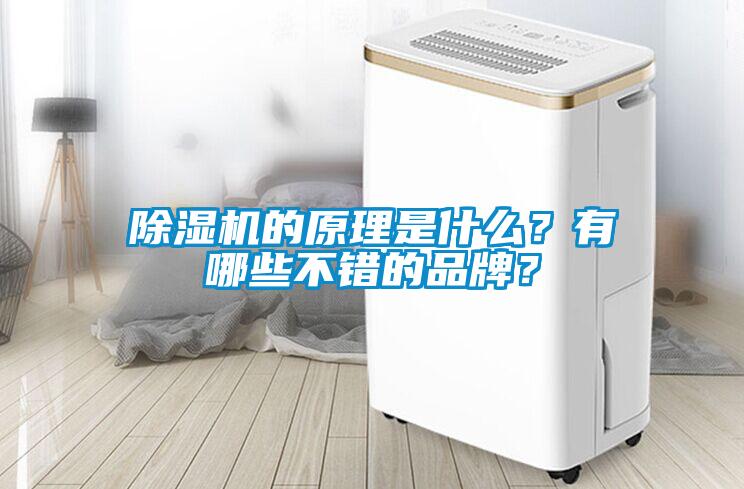 除濕機的原理是什么？有哪些不錯的品牌？