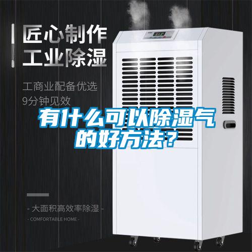 有什么可以除濕氣的好方法？