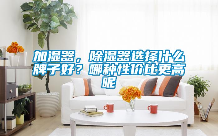 加濕器，除濕器選擇什么牌子好？哪種性價(jià)比更高呢