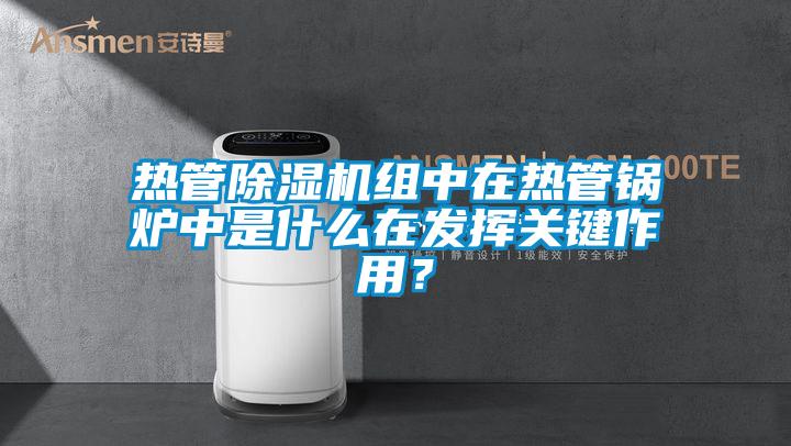 熱管除濕機組中在熱管鍋爐中是什么在發(fā)揮關(guān)鍵作用？