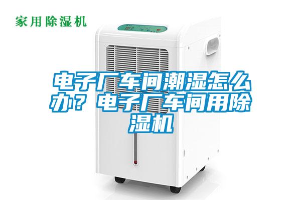 電子廠車間潮濕怎么辦？電子廠車間用除濕機