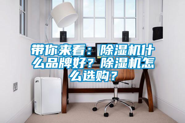 帶你來(lái)看：除濕機(jī)什么品牌好？除濕機(jī)怎么選購(gòu)？