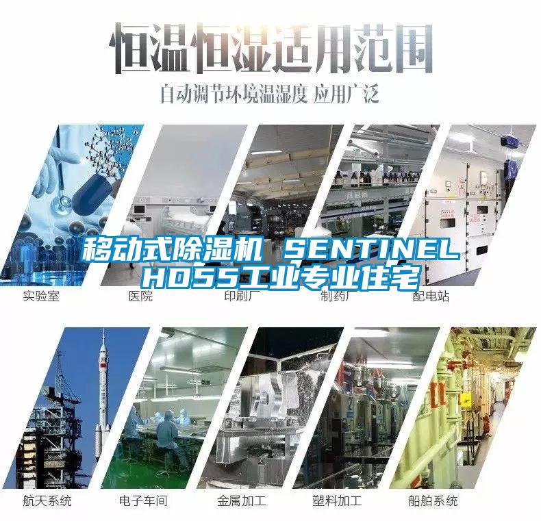 移動(dòng)式除濕機(jī) SENTINEL HD55工業(yè)專(zhuān)業(yè)住宅