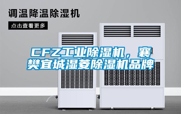 CFZ工業(yè)除濕機，襄樊宜城濕菱除濕機品牌