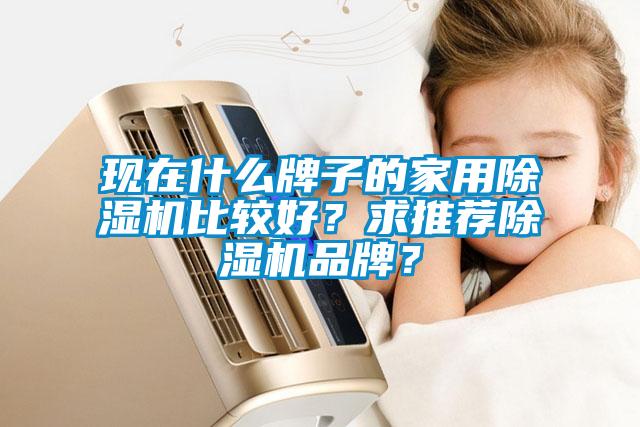 現(xiàn)在什么牌子的家用除濕機比較好？求推薦除濕機品牌？