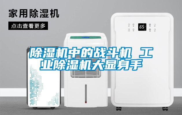 除濕機中的戰(zhàn)斗機 工業(yè)除濕機大顯身手