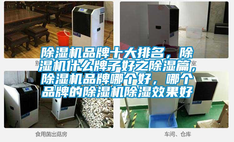 除濕機品牌十大排名，除濕機什么牌子好之除濕篇，除濕機品牌哪個好，哪個品牌的除濕機除濕效果好