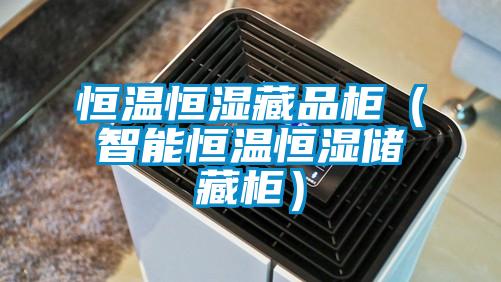 恒溫恒濕藏品柜（智能恒溫恒濕儲藏柜）