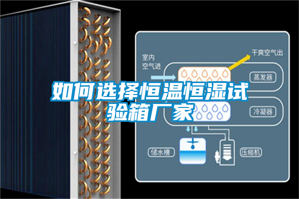 如何選擇恒溫恒濕試驗(yàn)箱廠家