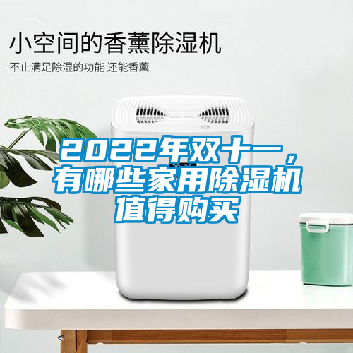 2022年雙十一，有哪些家用除濕機值得購買