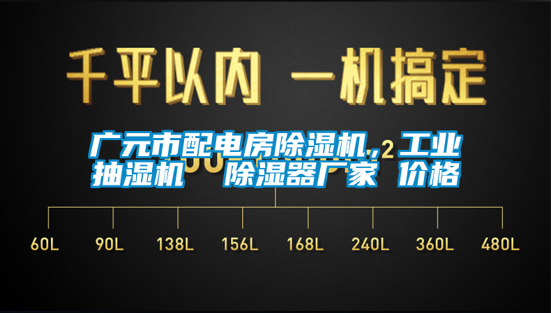 廣元市配電房除濕機(jī)，工業(yè)抽濕機(jī)  除濕器廠家 價(jià)格