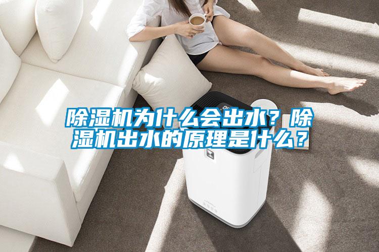 除濕機為什么會出水？除濕機出水的原理是什么？