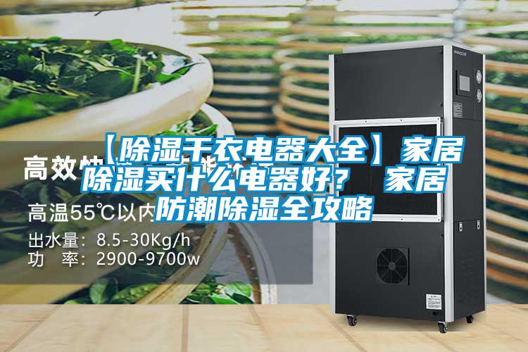 【除濕干衣電器大全】家居除濕買什么電器好？ 家居防潮除濕全攻略