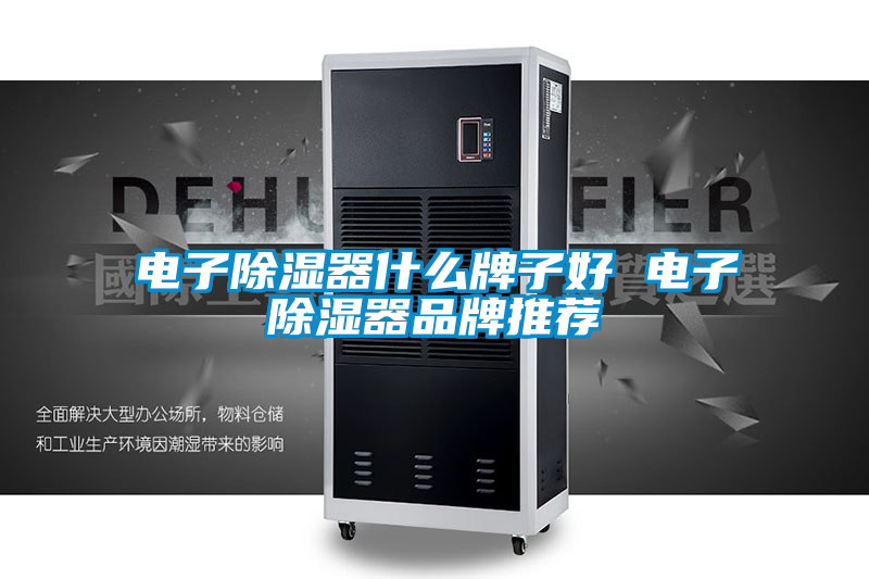 電子除濕器什么牌子好 電子除濕器品牌推薦