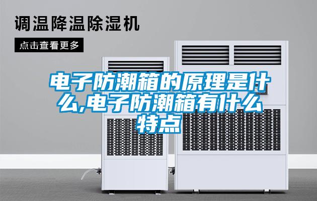 電子防潮箱的原理是什么,電子防潮箱有什么特點