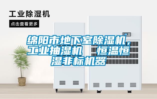 綿陽市地下室除濕機，工業(yè)抽濕機  恒溫恒濕非標機器