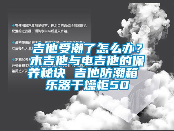 吉他受潮了怎么辦？木吉他與電吉他的保養(yǎng)秘訣 吉他防潮箱 樂(lè)器干燥柜50