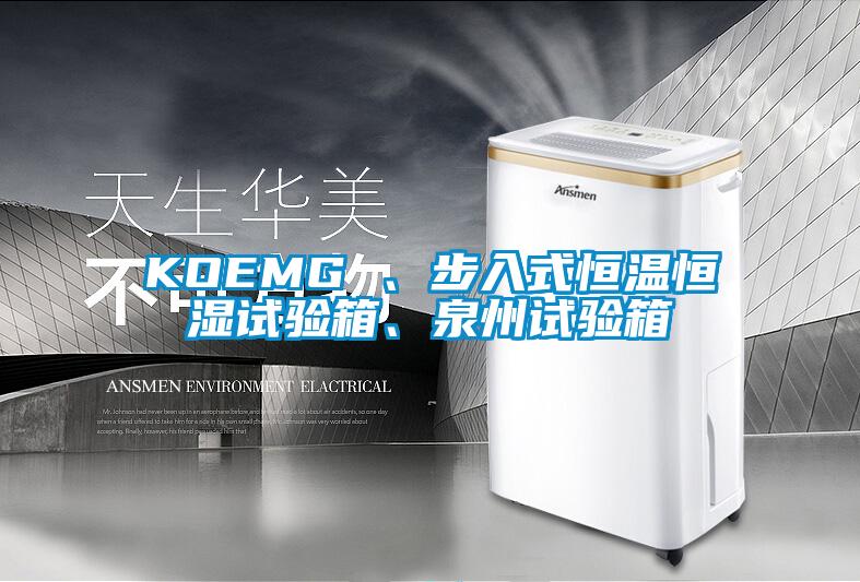 KOEMG 、步入式恒溫恒濕試驗箱、泉州試驗箱