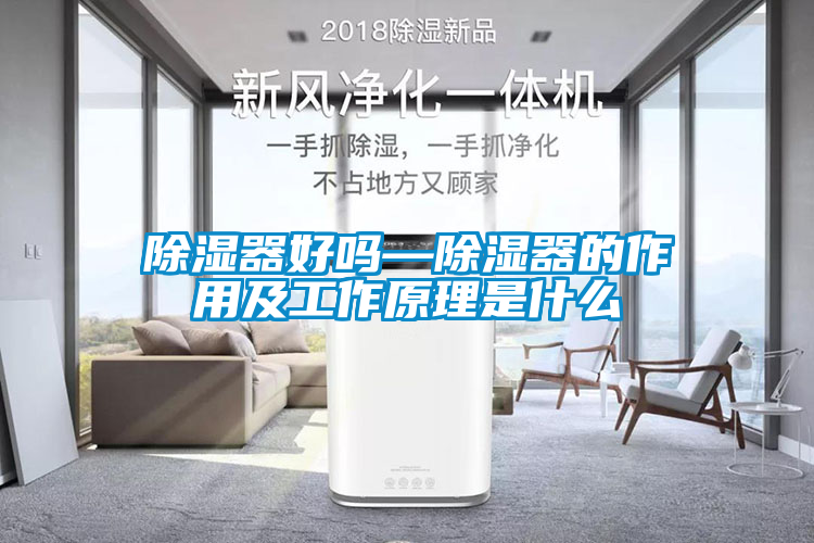 除濕器好嗎—除濕器的作用及工作原理是什么