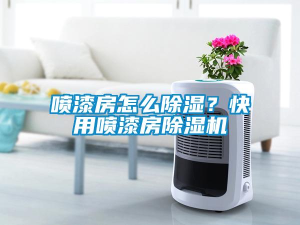 噴漆房怎么除濕？快用噴漆房除濕機