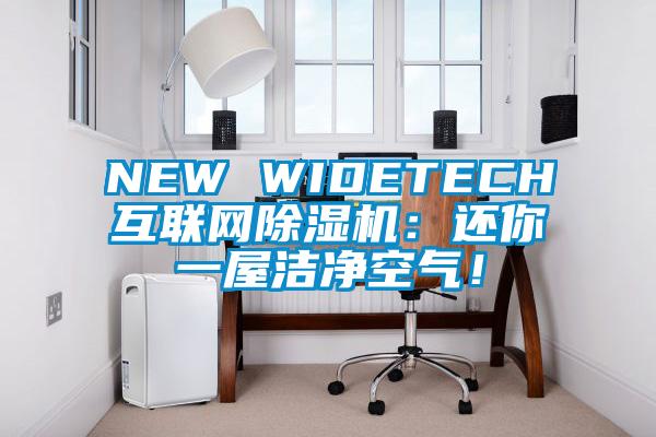 NEW WIDETECH互聯(lián)網(wǎng)除濕機(jī)：還你一屋潔凈空氣！