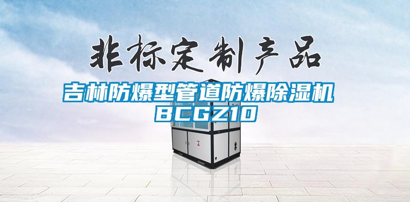 吉林防爆型管道防爆除濕機(jī) BCGZ10