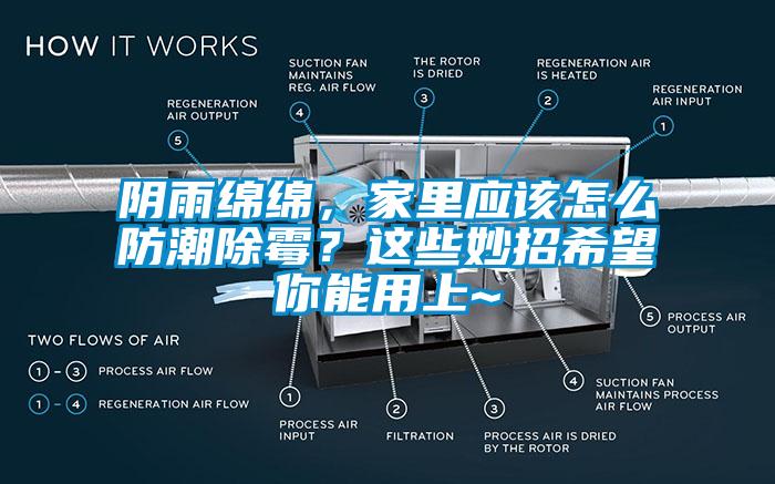 陰雨綿綿，家里應(yīng)該怎么防潮除霉？這些妙招希望你能用上~