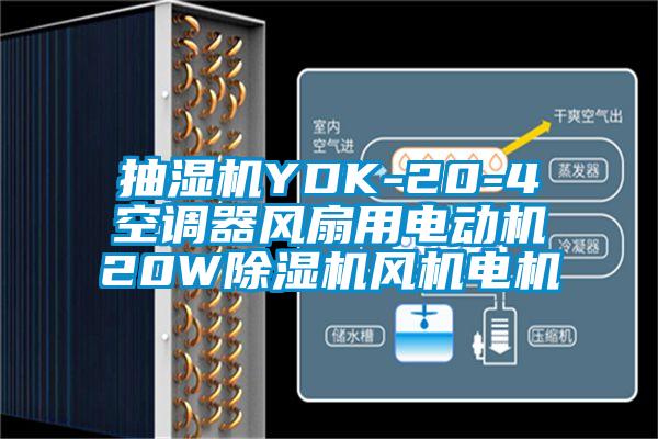 抽濕機YDK-20-4空調(diào)器風(fēng)扇用電動機20W除濕機風(fēng)機電機