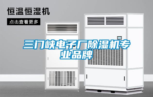 三門峽電子廠除濕機專業(yè)品牌