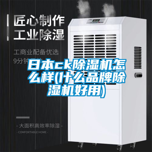 日本ck除濕機怎么樣(什么品牌除濕機好用)