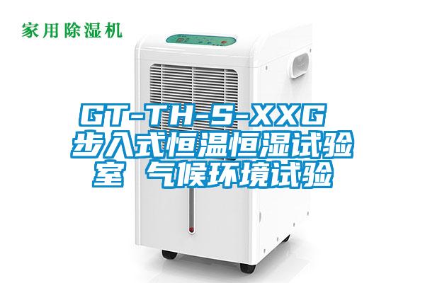 GT-TH-S-XXG 步入式恒溫恒濕試驗室 氣候環(huán)境試驗