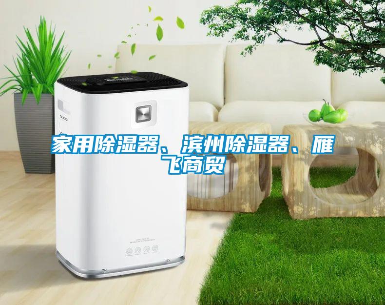 家用除濕器、濱州除濕器、雁飛商貿(mào)