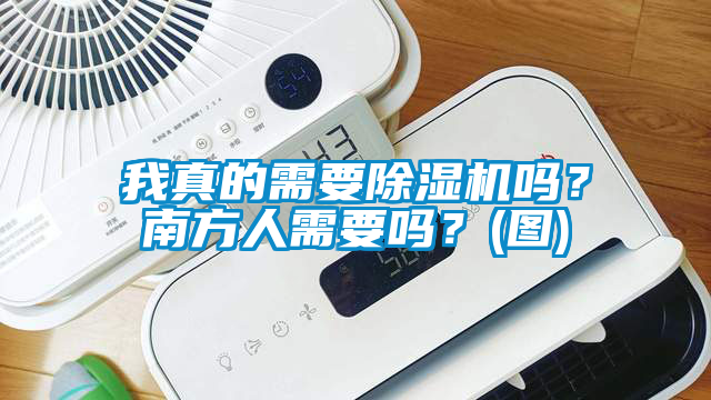 我真的需要除濕機嗎？南方人需要嗎？(圖)