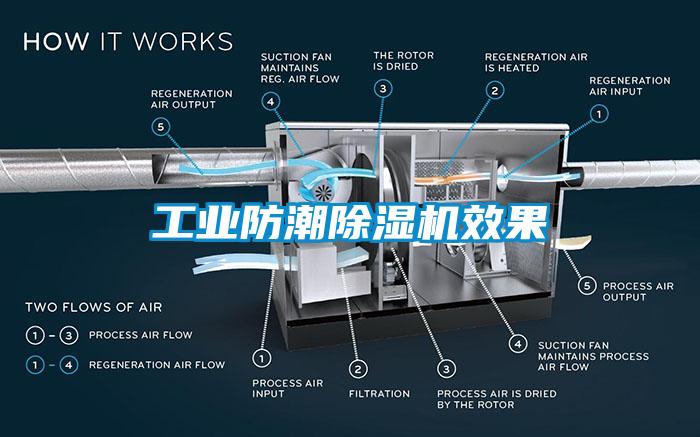 工業(yè)防潮除濕機效果