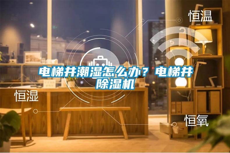 電梯井潮濕怎么辦？電梯井除濕機