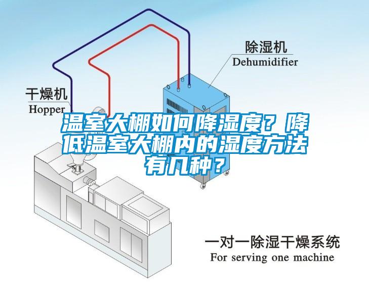 溫室大棚如何降濕度？降低溫室大棚內(nèi)的濕度方法有幾種？