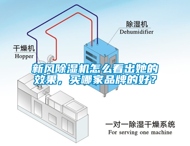 新風(fēng)除濕機怎么看出她的效果，買哪家品牌的好？