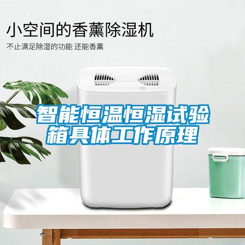 智能恒溫恒濕試驗(yàn)箱具體工作原理