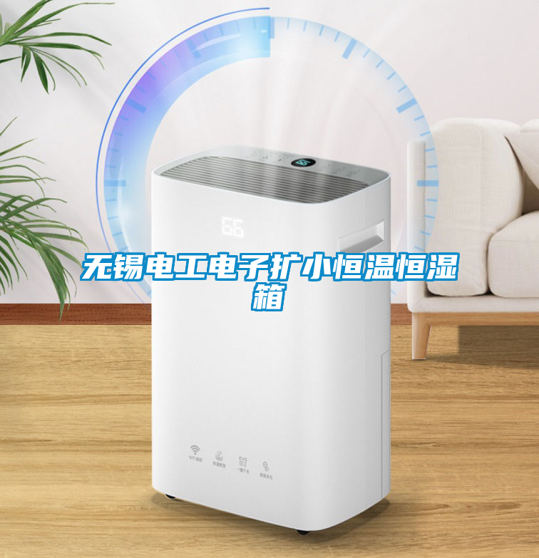 無錫電工電子擴(kuò)小恒溫恒濕箱