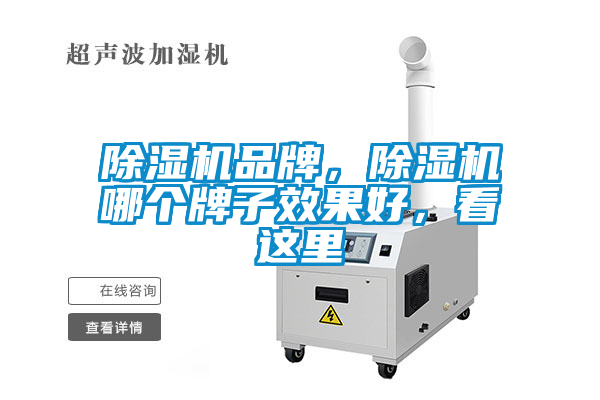 除濕機(jī)品牌，除濕機(jī)哪個(gè)牌子效果好，看這里