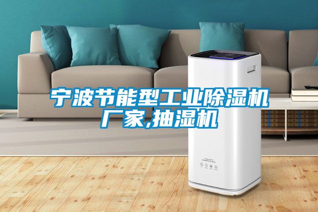 寧波節(jié)能型工業(yè)除濕機廠家,抽濕機