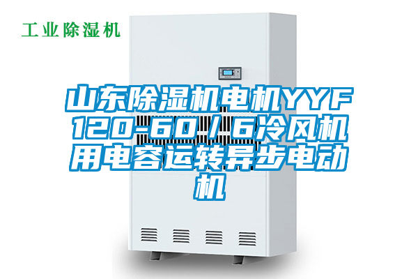 山東除濕機(jī)電機(jī)YYF120-60／6冷風(fēng)機(jī)用電容運(yùn)轉(zhuǎn)異步電動(dòng)機(jī)