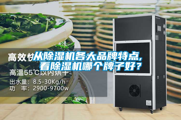 從除濕機(jī)各大品牌特點(diǎn), 看除濕機(jī)哪個(gè)牌子好？