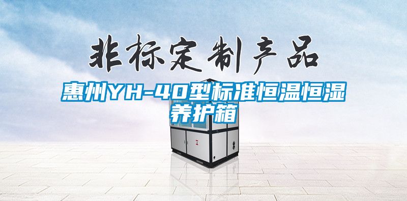 惠州YH-40型標(biāo)準(zhǔn)恒溫恒濕養(yǎng)護(hù)箱